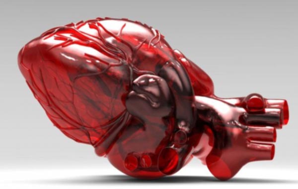 prototipo stampa 3D cuore