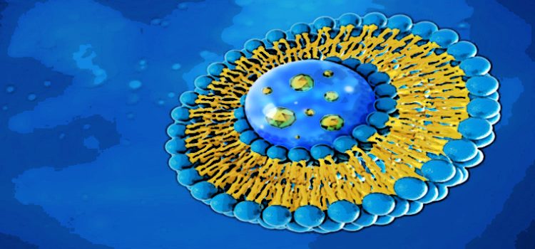 Nuova nanoparticella biomimetica per veicolare i farmaci