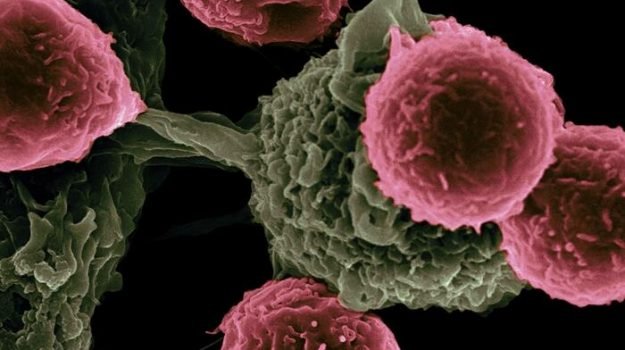Vaccino jolly anti-cancro per abbattere le difese messe in atto dai tumori